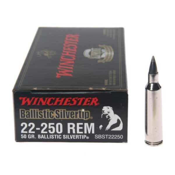 Winchester 22-250 Ballistic Silvertip 50 Grain Box of 20