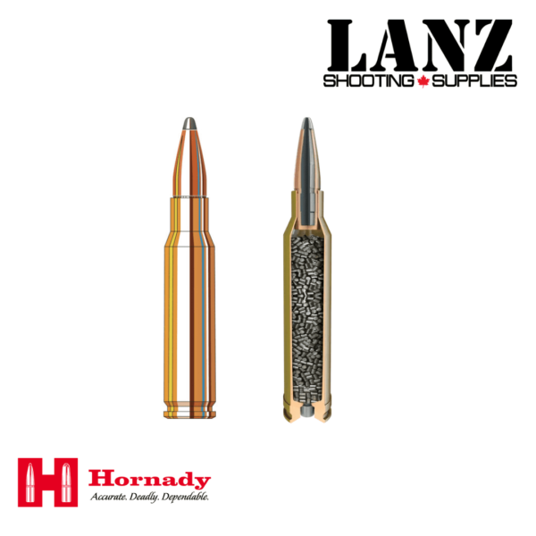 HORNADY American Whitetail® 308 WINCHESTER 165 Grain InterLock® SP(Soft Point) BOX OF 20 - Image 3