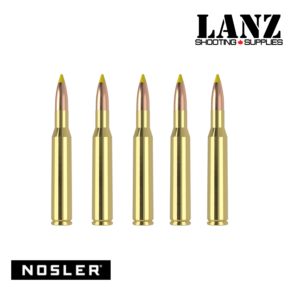 Nosler Ballistic Tip 270 Winchester 140 grain hunting ammunition 20-round box